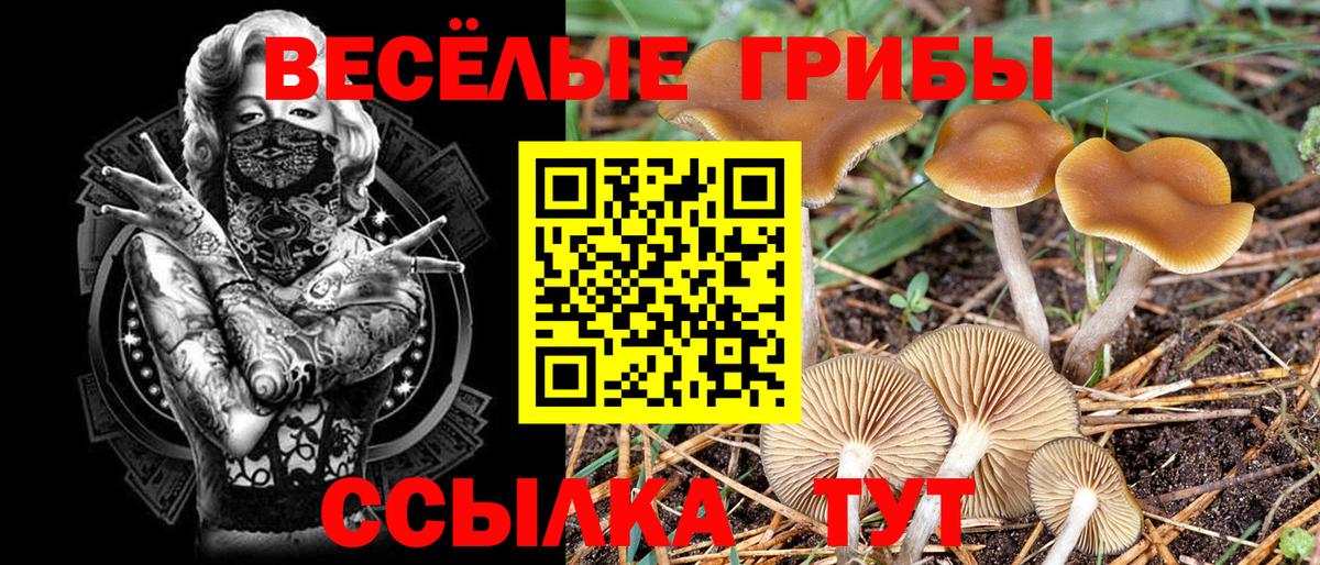 Тула  Марихуана  Вход с VPN  ГАШИШ  Меф  