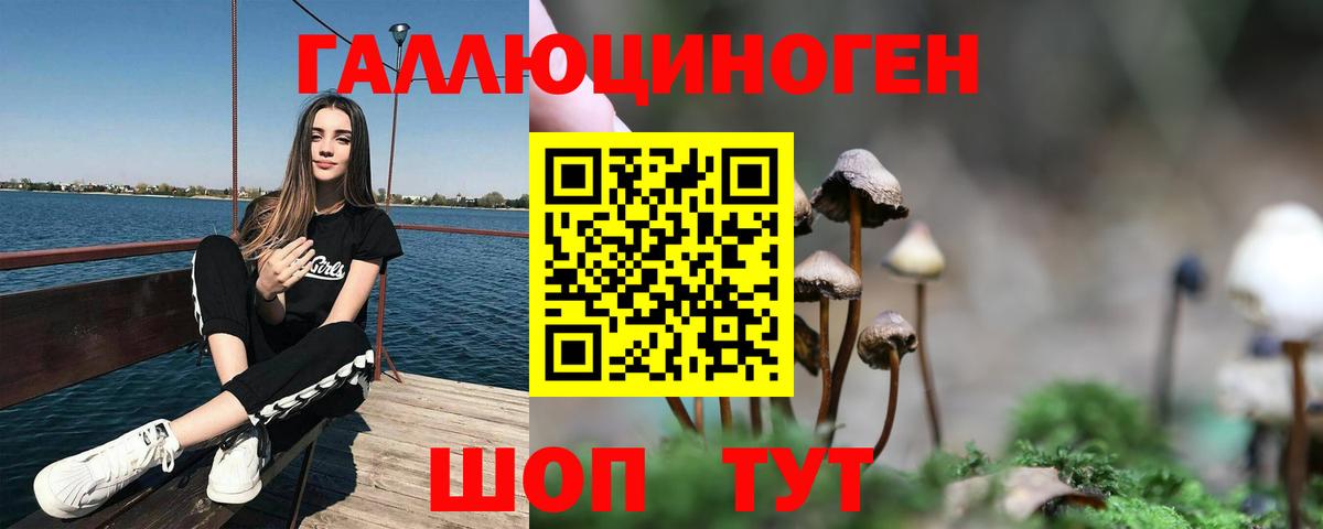 Тула  Галлюциногенные грибы MAGIC MUSHROOMS  Вход с VPN 